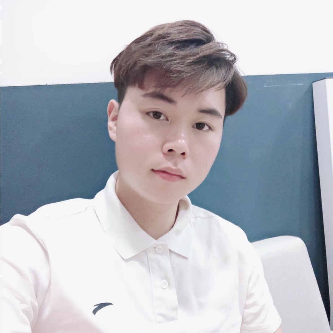 大雁漫步坚强的照片