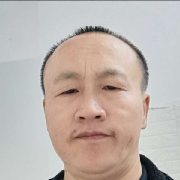 小鸽子吃醋时尚的照片