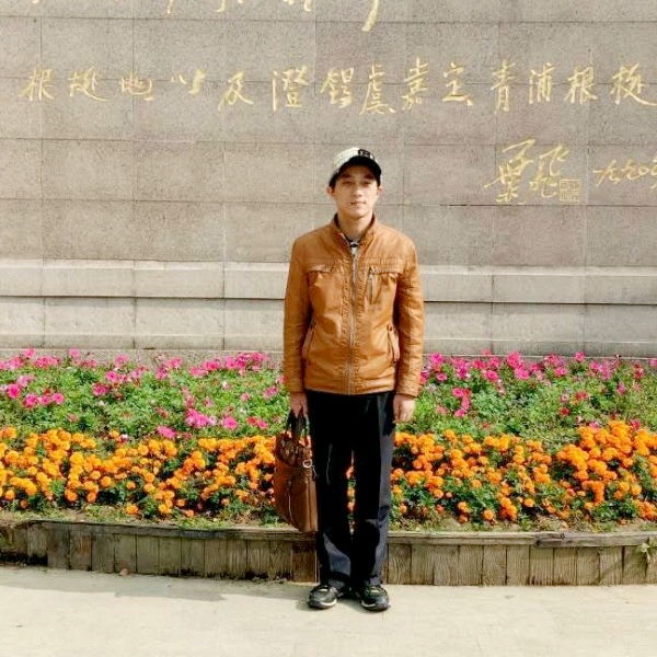 野风中的江南小草的照片