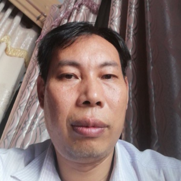 知性的鸭子的照片