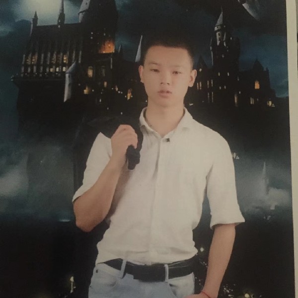 鱼典雅的照片