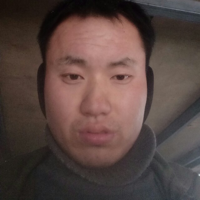 大意斑马的照片