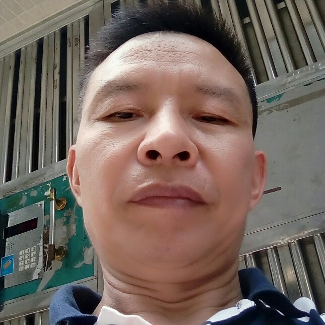 飞猴的照片