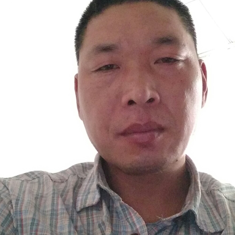 新亮装饰的照片