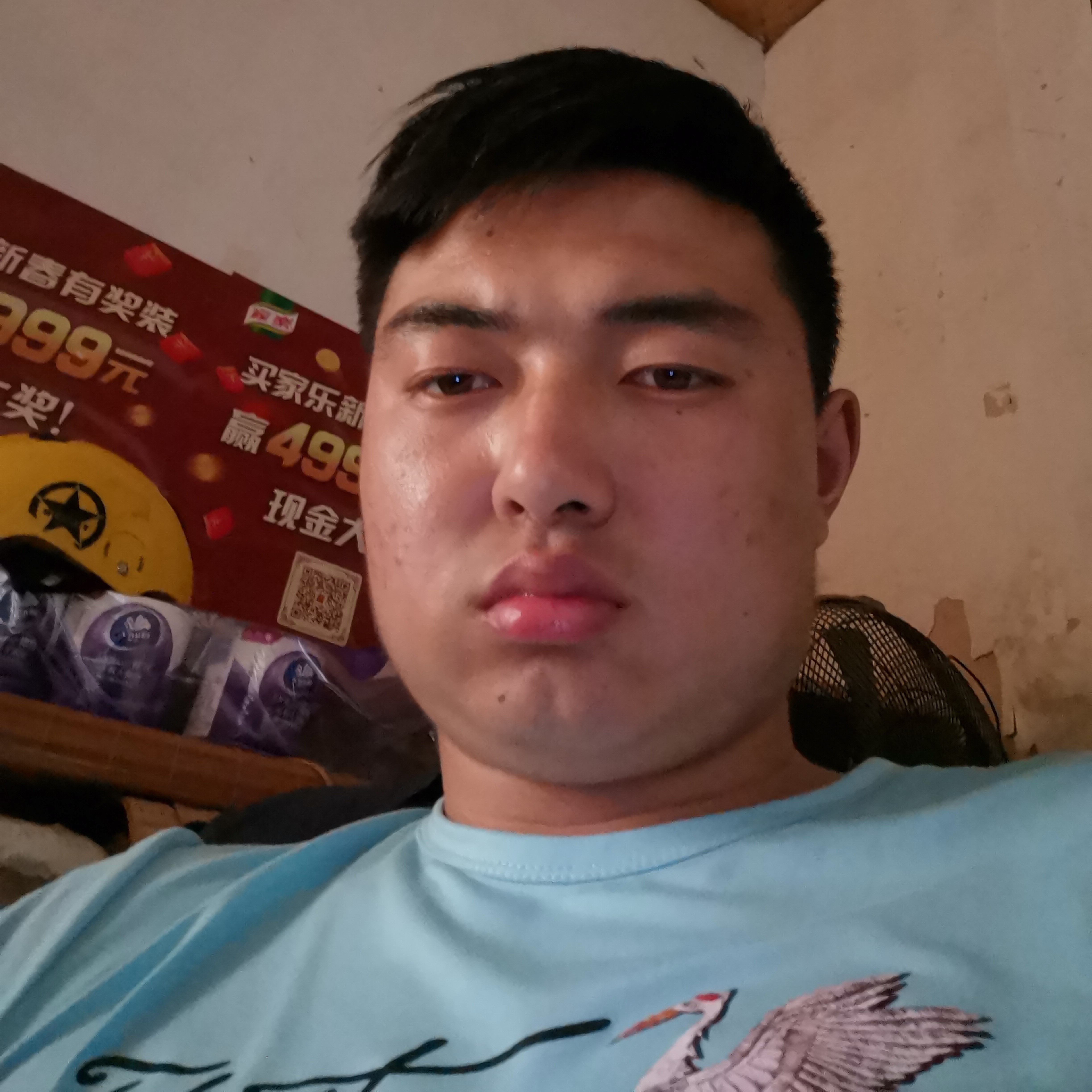 蘩藜有明媚的照片
