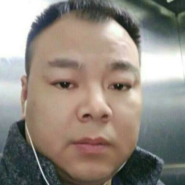 玫瑰翩飞的照片