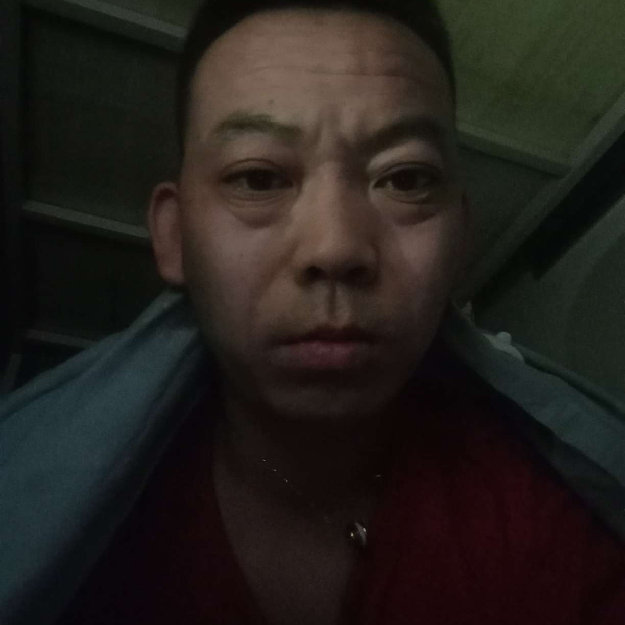热情浅吻芝麻的照片