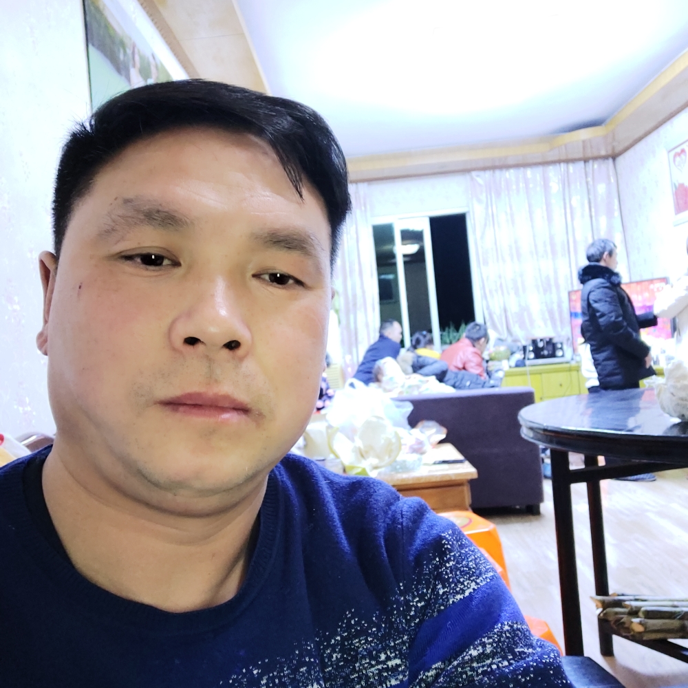 独寂愿龙猫的照片