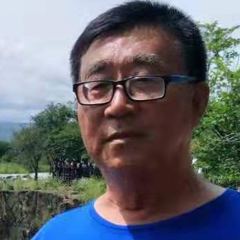 小海豚有优美的照片