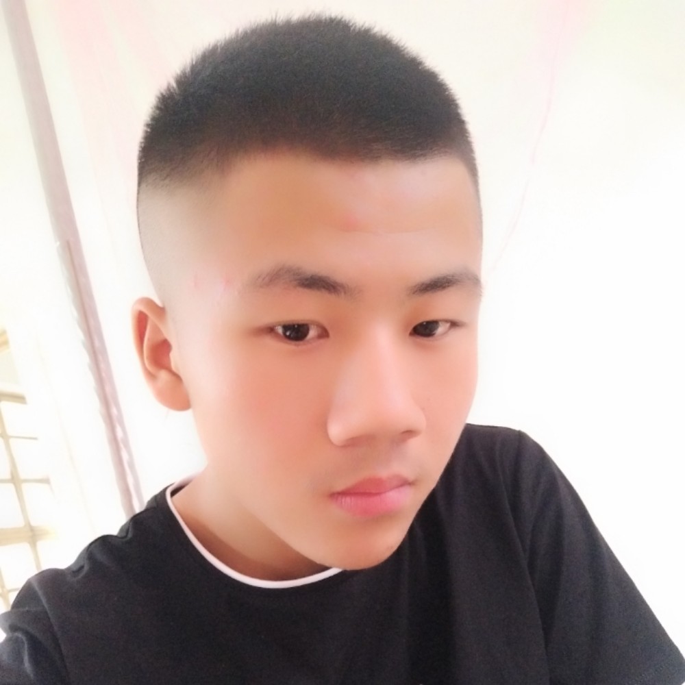 标致轩辕的照片