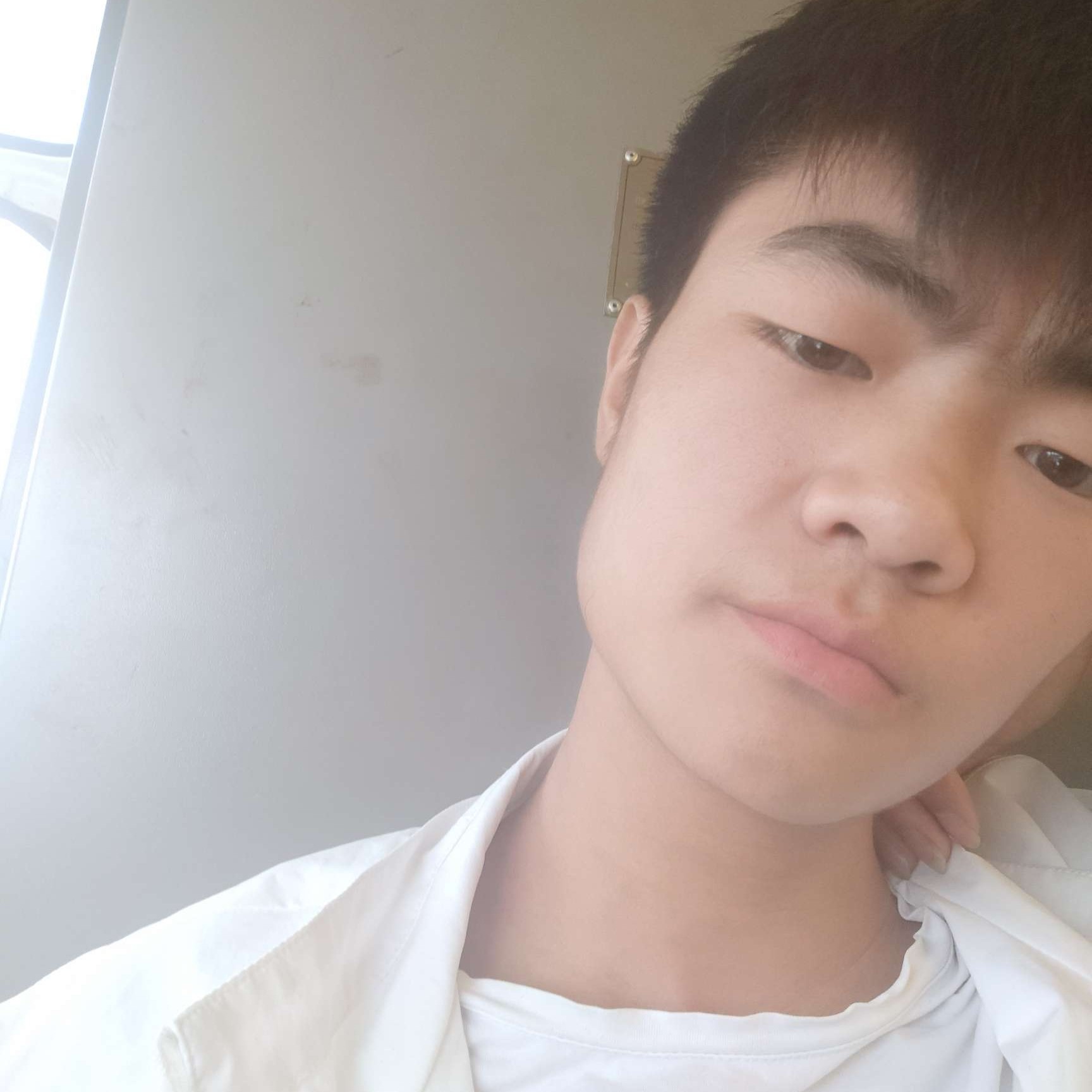 不解的吃醋海燕的照片