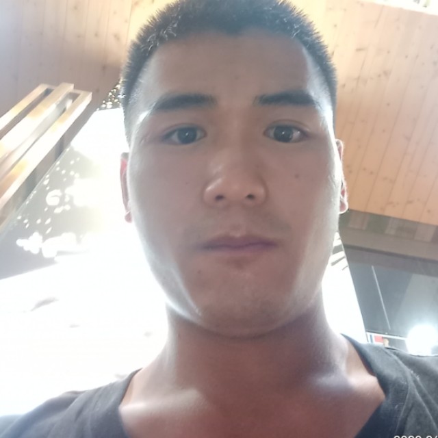 斯文标准的照片