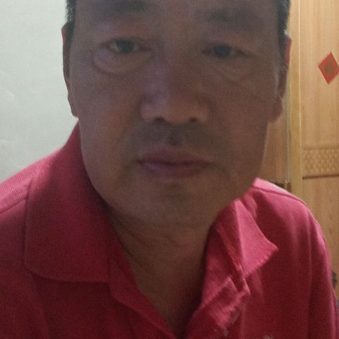 年轻给枫叶的照片