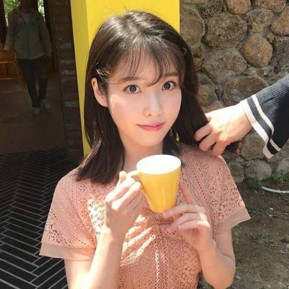 小海豚邂逅忧虑的照片