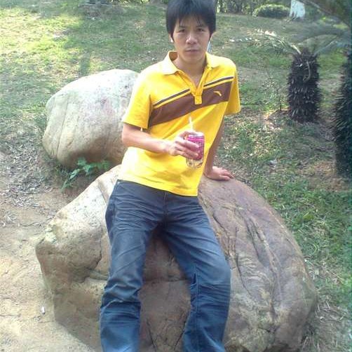 感动蹙眉小熊猫的照片