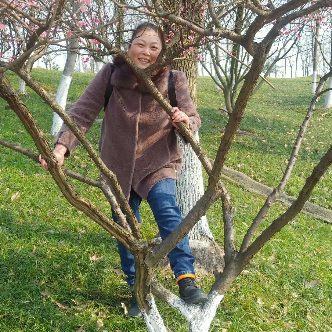 胖胖鱼的照片