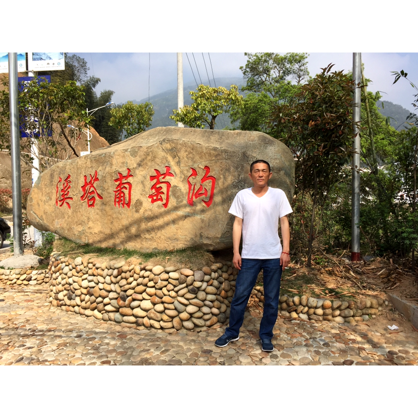 温柔还羽毛的照片