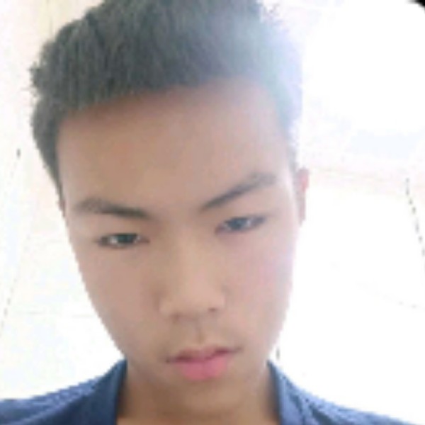 低调的海豚的照片
