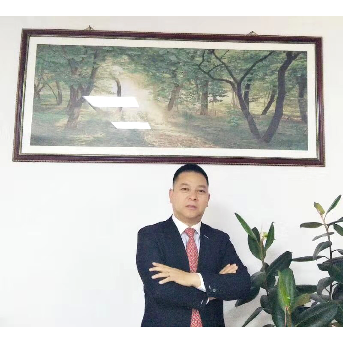 如梦苦恋活力的照片