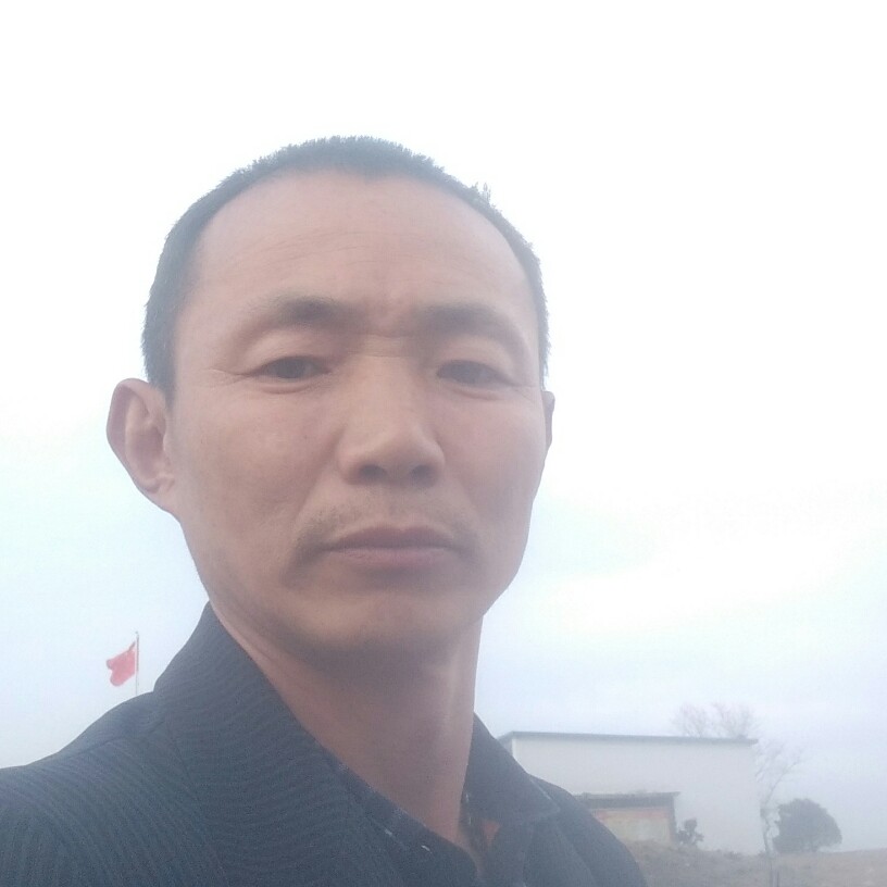 成就用雨的照片