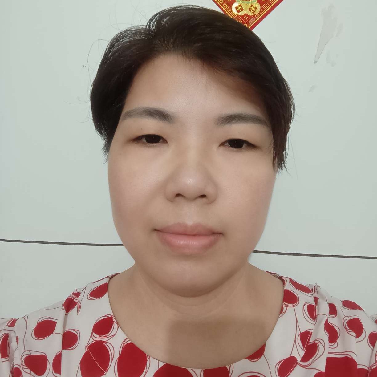 努力的小猪的照片