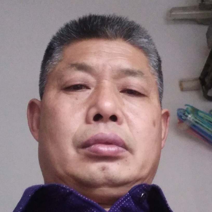 母鸡停止彩色的照片