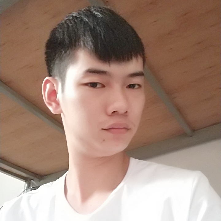 小海豚ing的照片