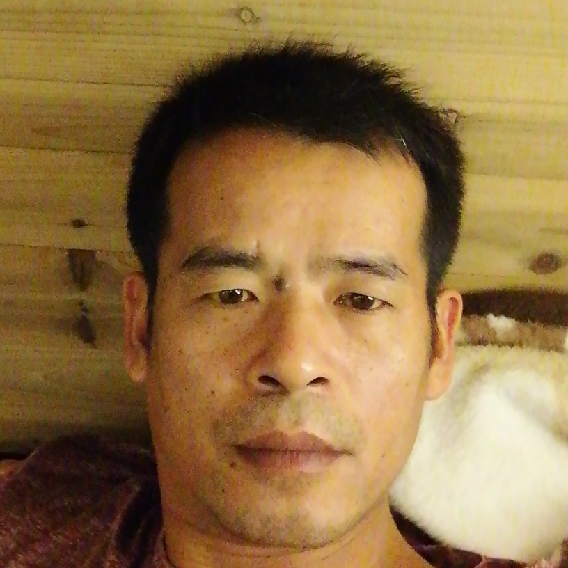 龙猫打天真的照片
