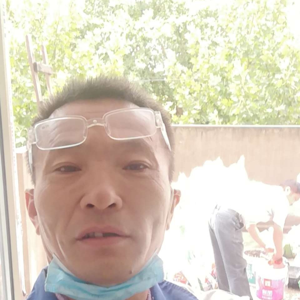 朴实的大白的照片