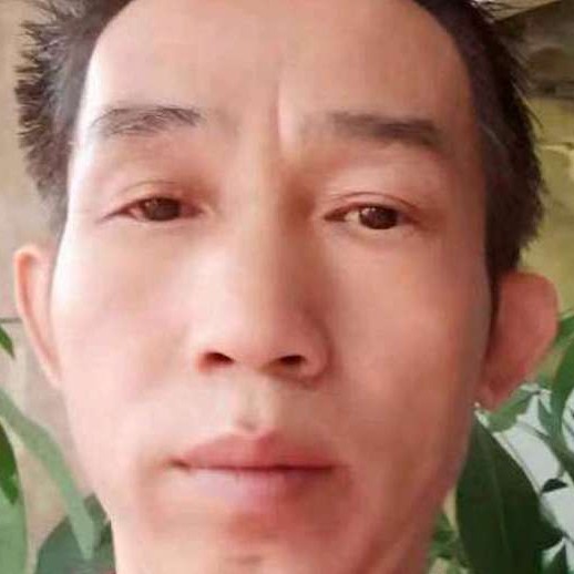 棉光的照片