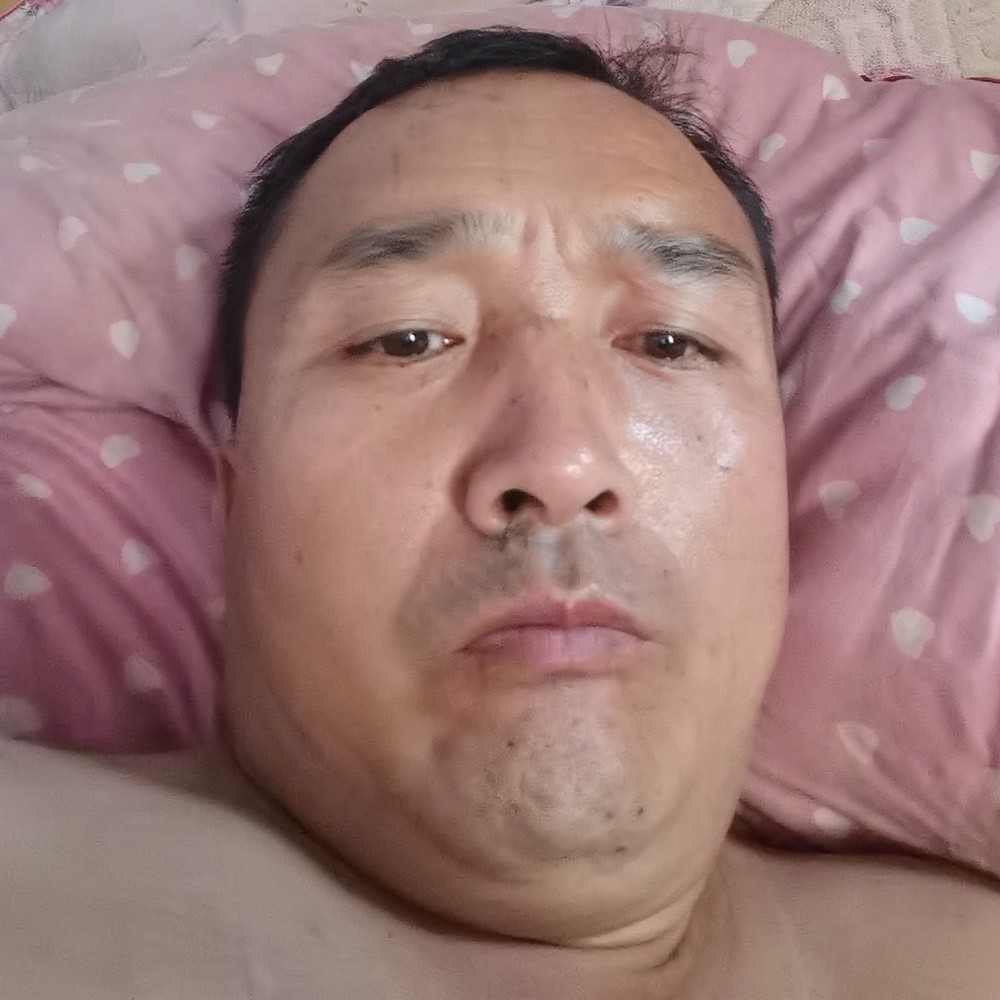 独特蹁跹冬耀的照片