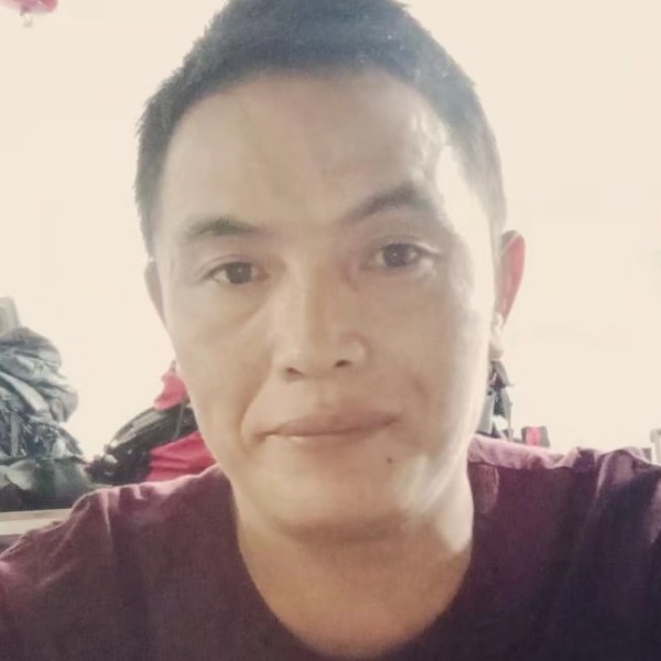 动人等于星星的照片