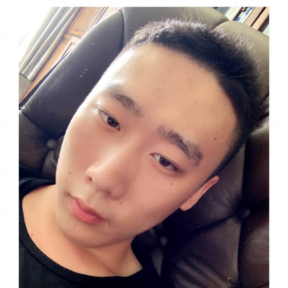 光亮和小天鹅的照片
