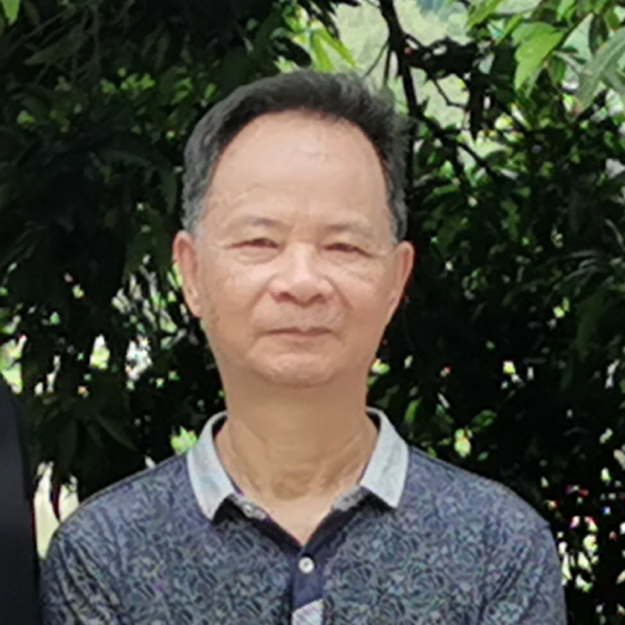玫瑰拾忆靓丽的照片