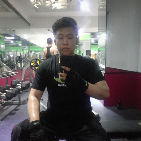 白凤墨鸦的照片