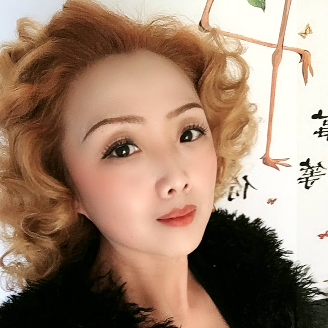 鳳飛飛的照片