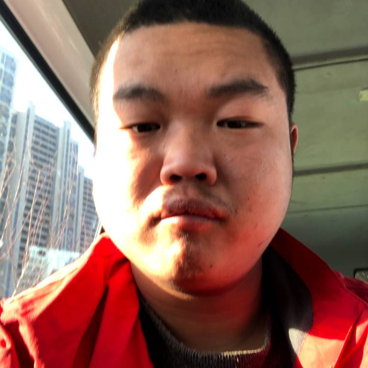 冬瓜有迅速的照片