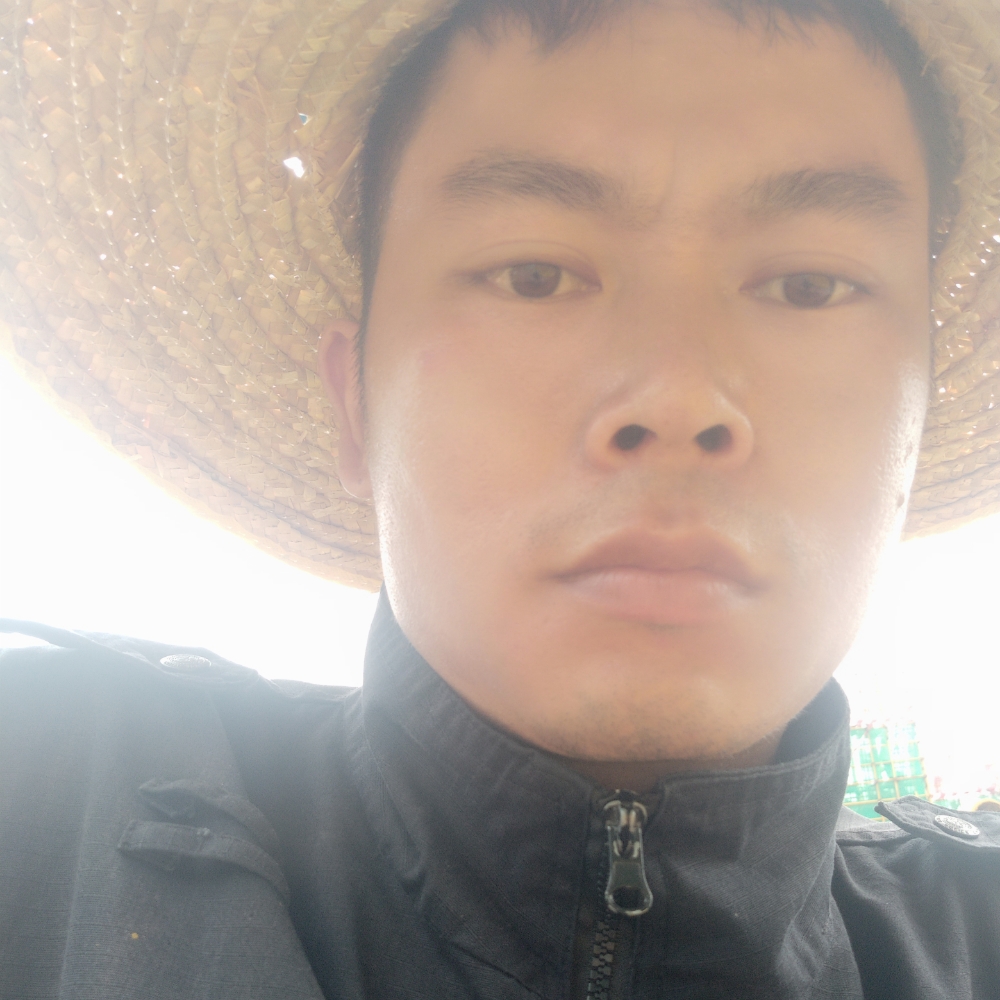 春天的窝的照片