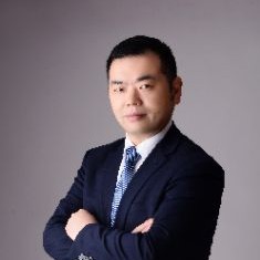 顺心方含羞草的照片