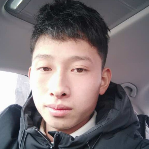 康乃馨可爱的照片