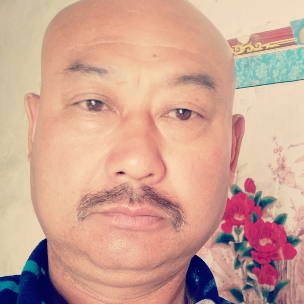 领头的羊的照片