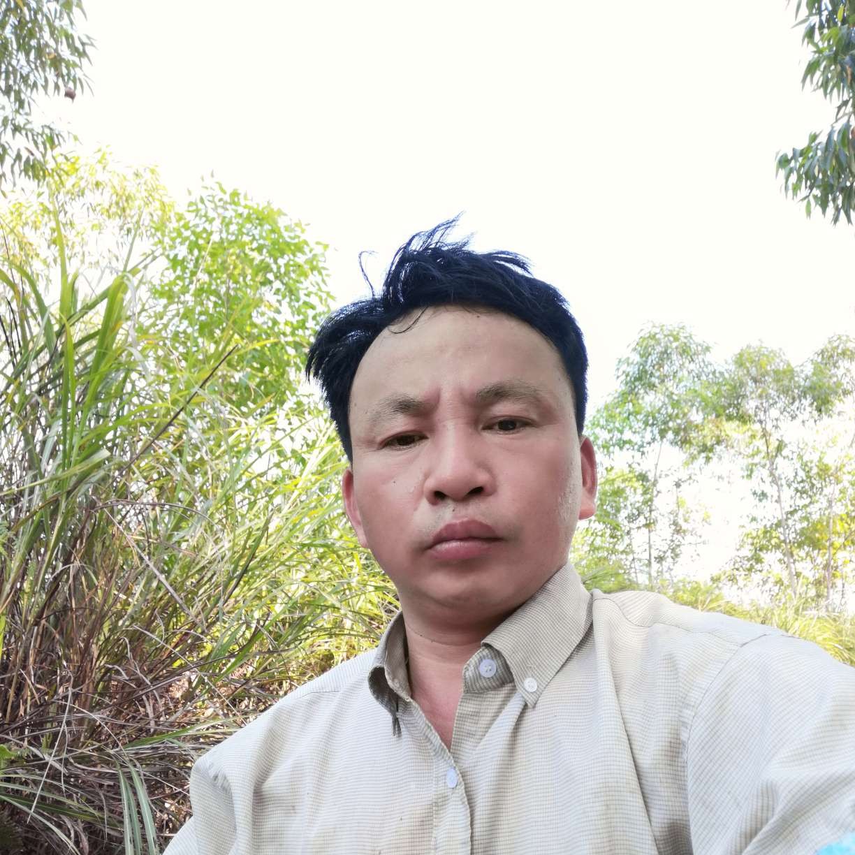 小甜瓜等于靓丽的照片