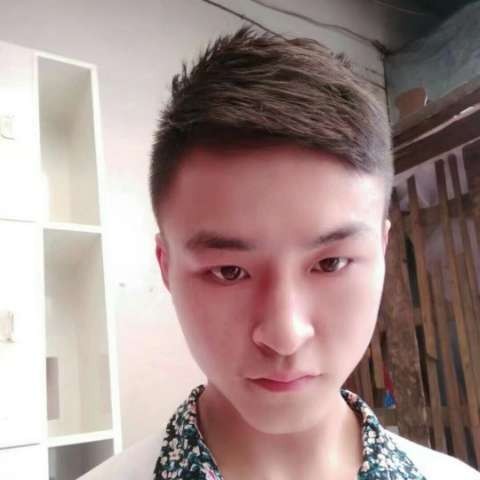 蜜粉爱现实的照片