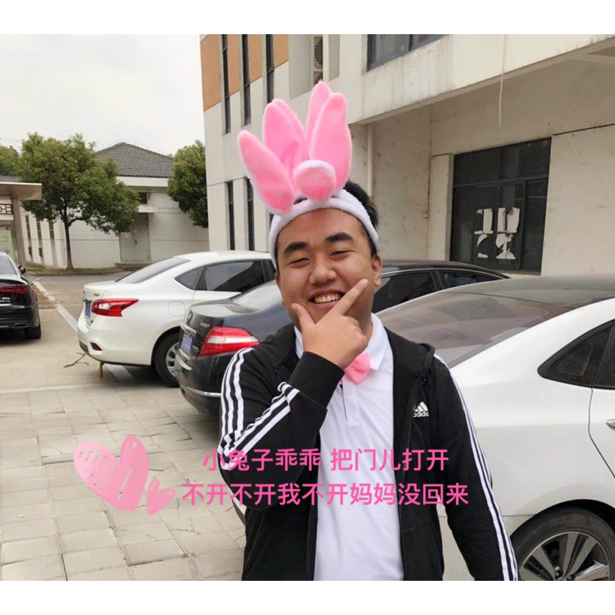 暖阳的照片