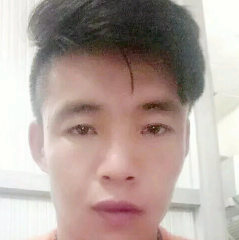 www风中奇缘