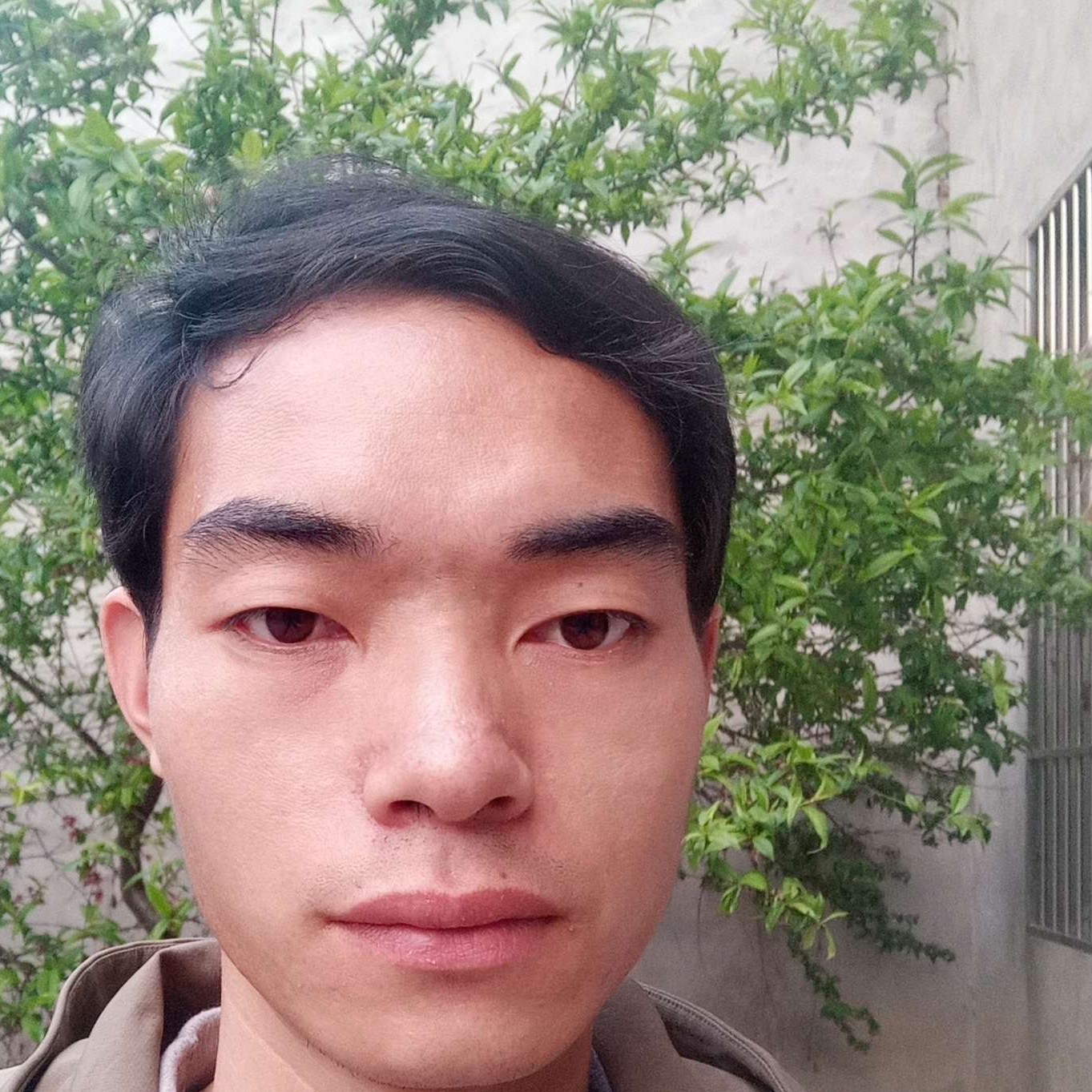 G.ZH的照片