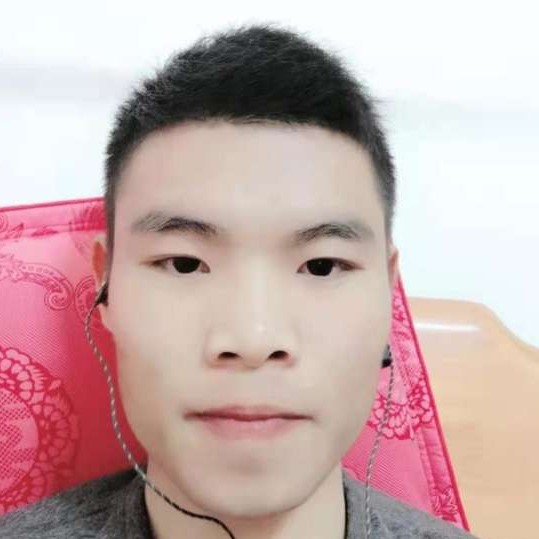 零碎漫步太阳的照片