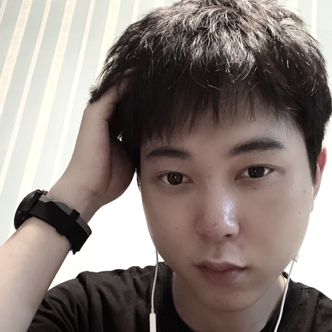 阿呆的照片