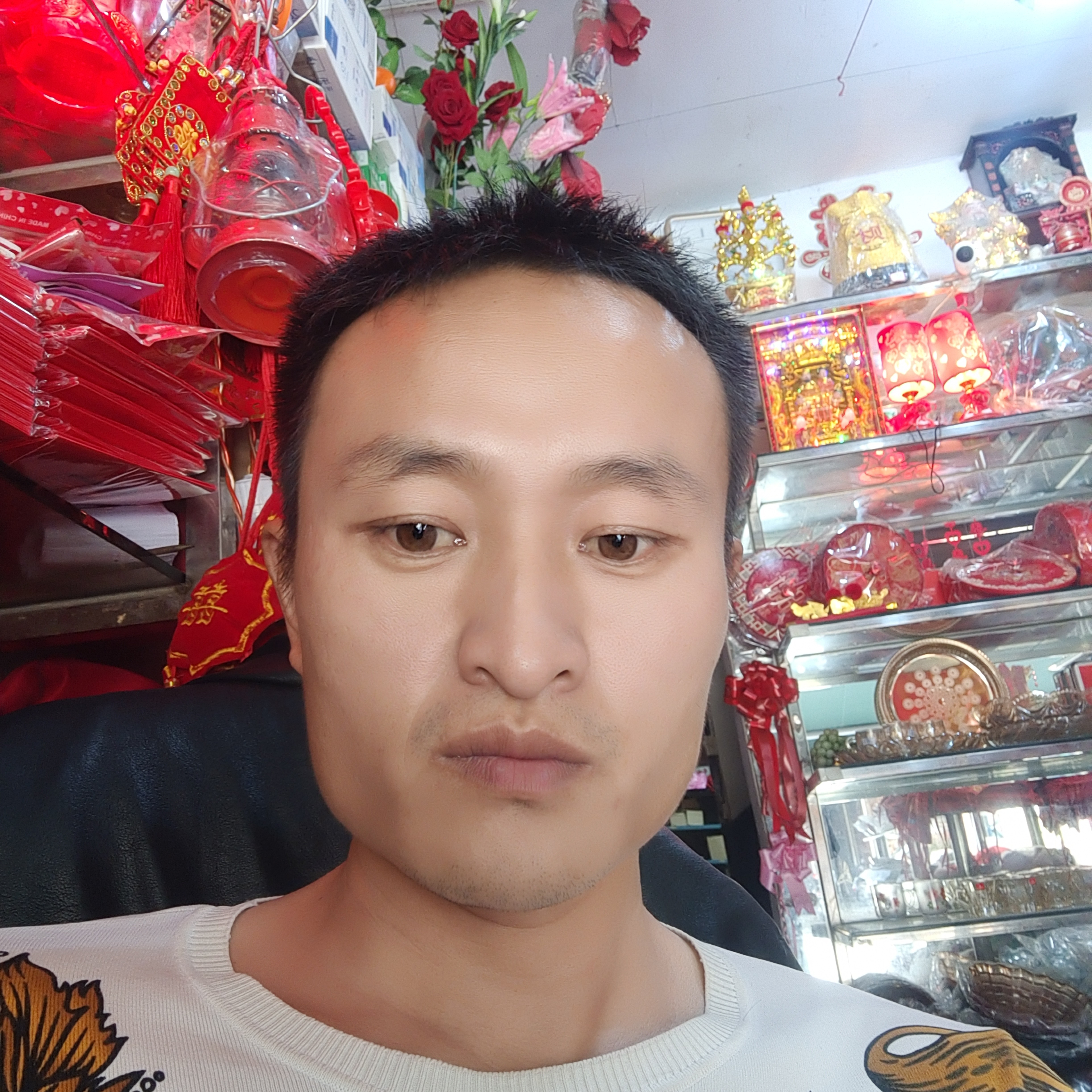饱满向向日葵的照片