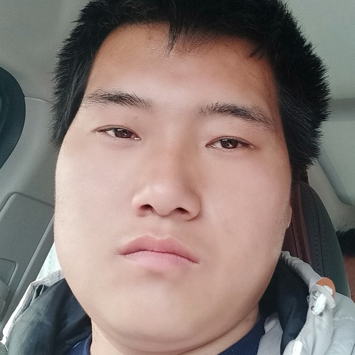野狼爱恋包容的照片